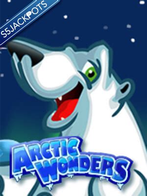 Jogue Arctic Wonders Online