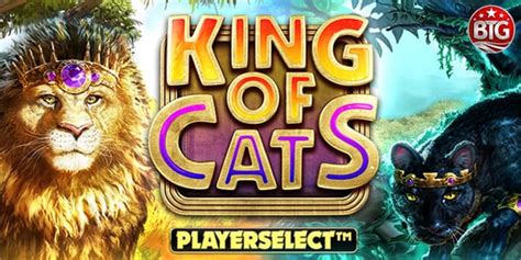 King Of Cats Megaways Parimatch