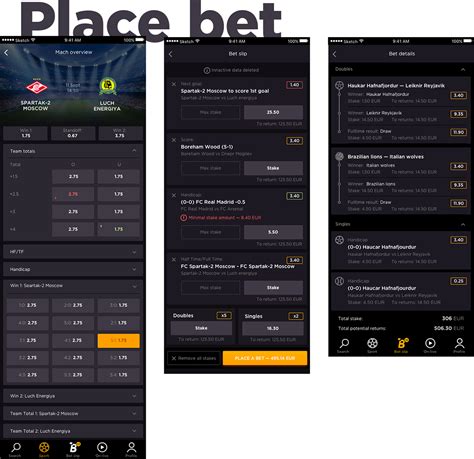 Lion City Bet Casino App