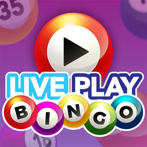 Live Bingo Casino Apostas