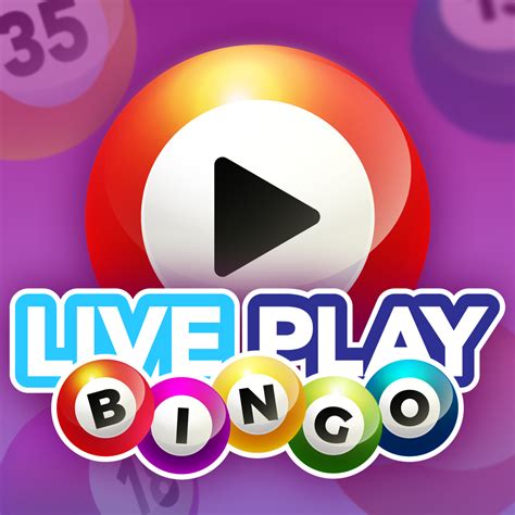 Live Bingo Casino App