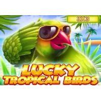 Lucky Tropical Birds 3x3 1xbet