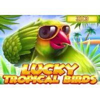 Lucky Tropical Birds 3x3 Slot - Play Online