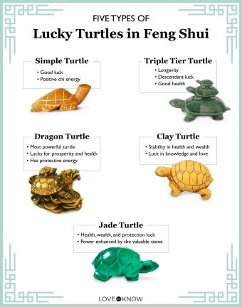 Lucky Turtle Brabet