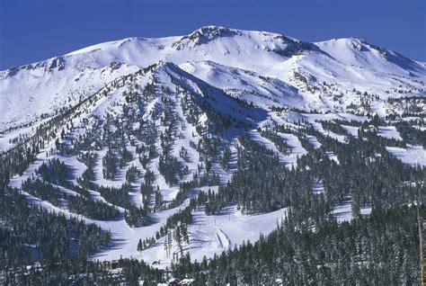 Mammoth Peak Brabet