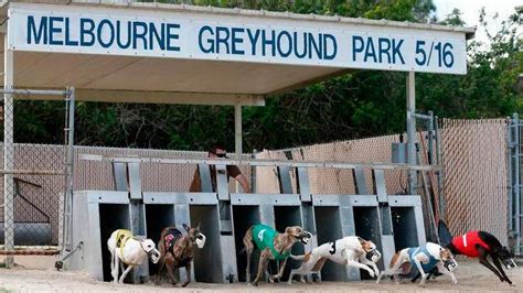 Melbourne Greyhound Park Maquinas De Fenda