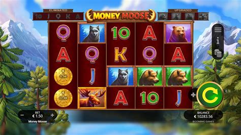 Money Moose 1xbet