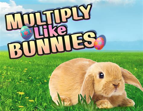 Multiply Like Bunnies Bet365