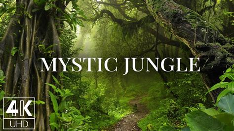 Mystic Jungle Bet365