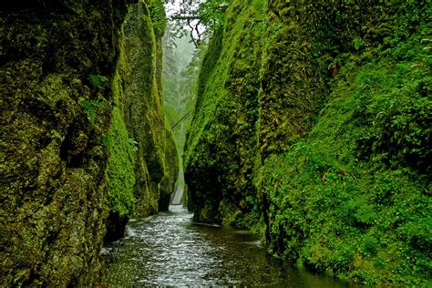 Oregon Slot Canyon