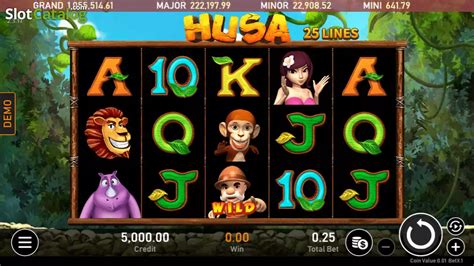 Play Husa Slot