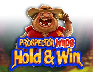 Prospector Wilds Hold And Win Bwin