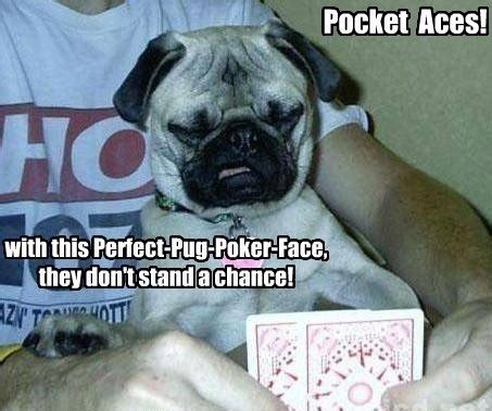 Pug Poker Face