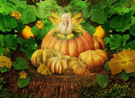 Pumpkin Fairy Betano