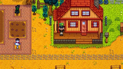 Qi Casino Stardew Vale