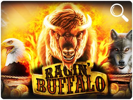 Ragin Buffalo Betfair