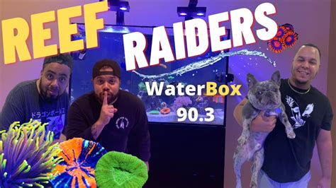 Reef Raider Parimatch