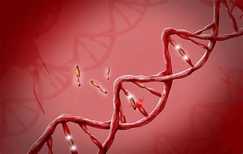 Roleta Genetica A Aposta Em Nossas Vidas 2024 Legendas