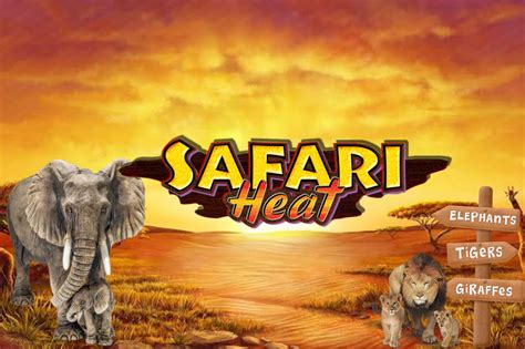 Safari Heat Review 2024