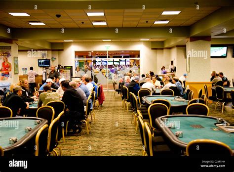 Sala De Poker Daytona Beach Kennel Clube