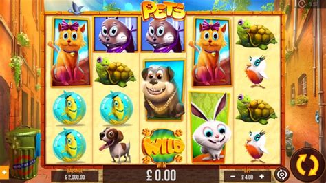 Slot Baby Pet