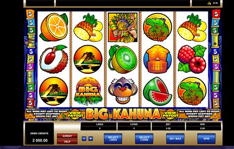 Slot Big Kahuna