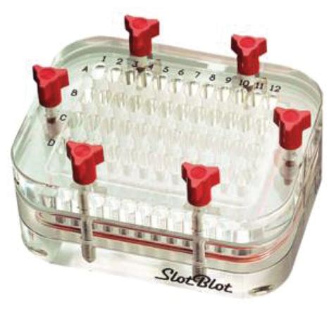 Slot Blot Biorad