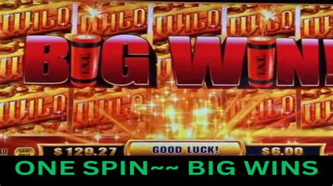 Slots Gone Wild Livre