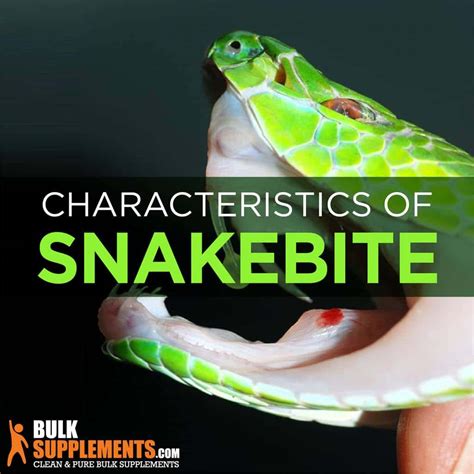 Snakebite Betfair