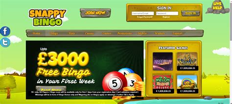 Snappy Bingo Casino Online