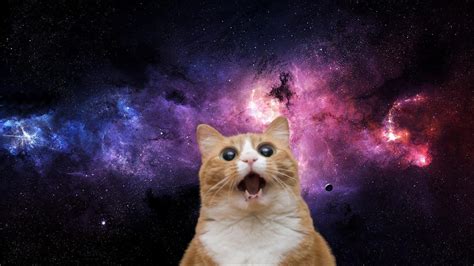 Space Cat Betsson