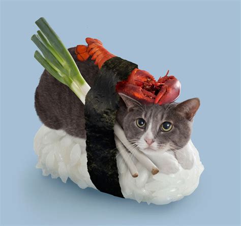 Sushi Cat 1xbet