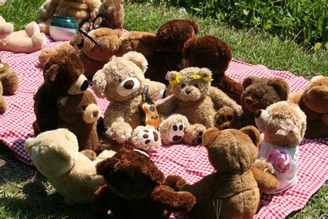 Teddy Bears Picnic Bodog