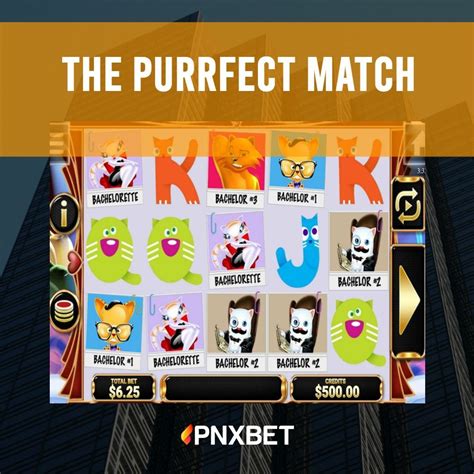 The Purrfect Match 888 Casino
