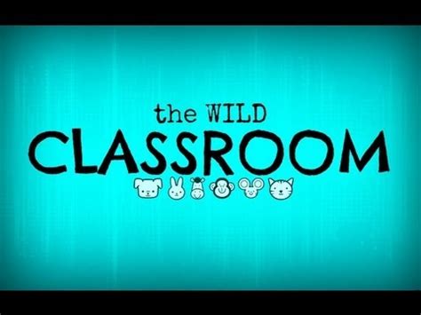 The Wild Class Brabet