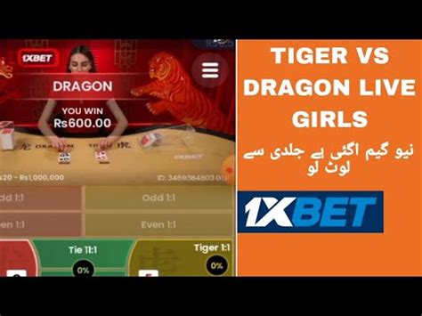 Tiger And Dragon 1xbet