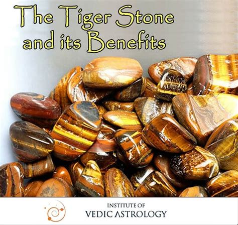 Tiger Stone Review 2024