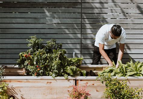 Veggies Plot Brabet