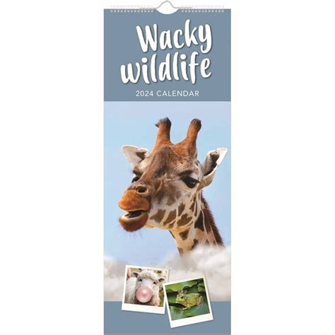 Wacky Wildlife Review 2024