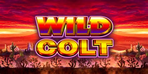 Wild Colt Review 2024