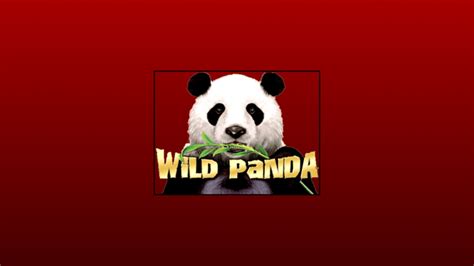 Wild Panda Review 2024