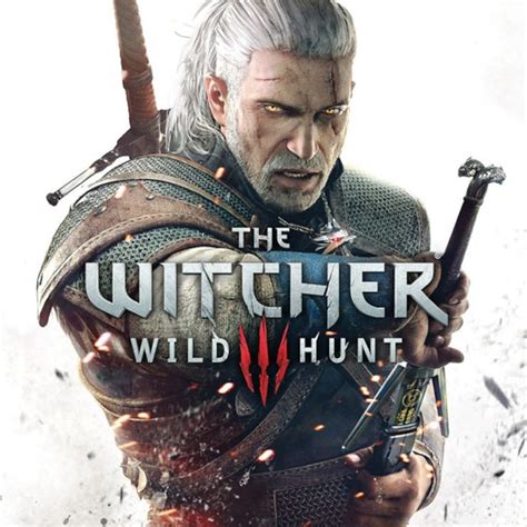 Witcher Jogo Den