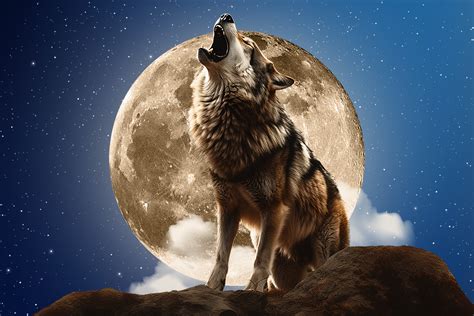 Wolf Moon Review 2024