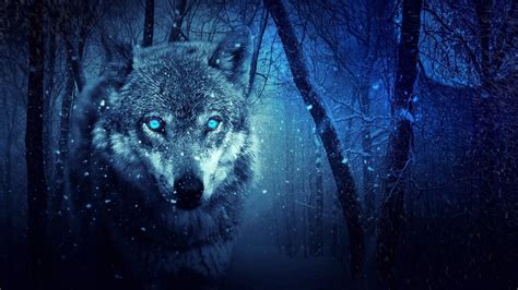 Wolf Night Bet365