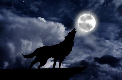 Wolf Night Betsul