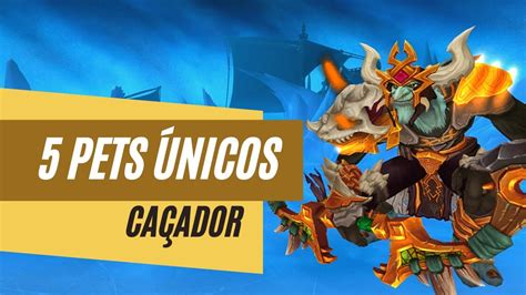 Wow Sobrevivencia Cacador De Melhor No Slot 5 4