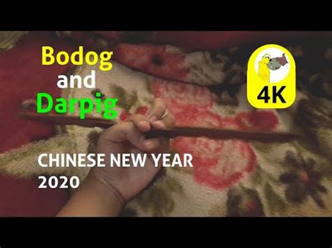 Year Of The Rat Bodog