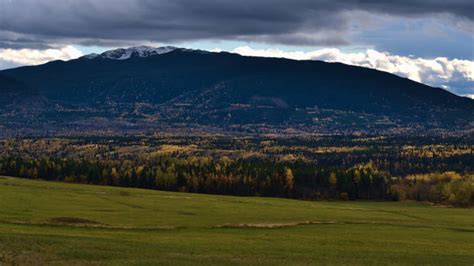 Yellowhead Norte